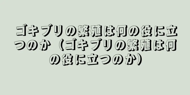 ゴキブリの繁殖は何の役に立つのか（ゴキブリの繁殖は何の役に立つのか）