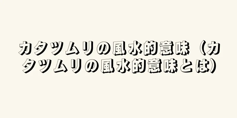 カタツムリの風水的意味（カタツムリの風水的意味とは）
