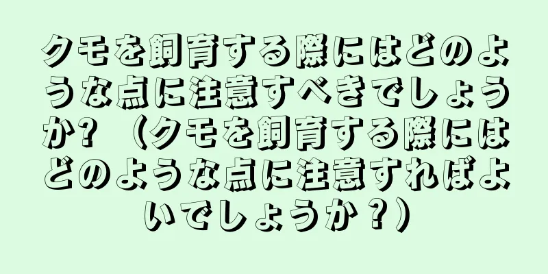 クモを飼育する際にはどのような点に注意すべきでしょうか? （クモを飼育する際にはどのような点に注意すればよいでしょうか？）