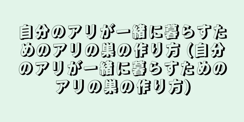 自分のアリが一緒に暮らすためのアリの巣の作り方 (自分のアリが一緒に暮らすためのアリの巣の作り方)