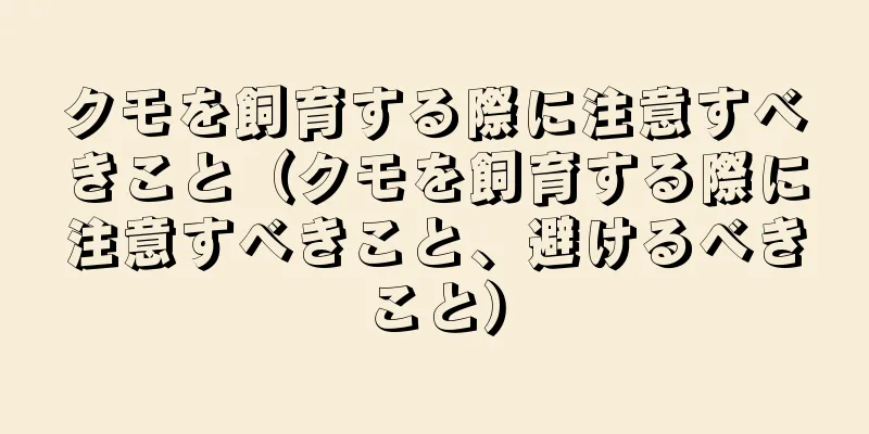 クモを飼育する際に注意すべきこと（クモを飼育する際に注意すべきこと、避けるべきこと）