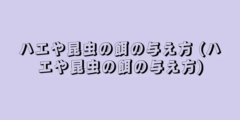 ハエや昆虫の餌の与え方 (ハエや昆虫の餌の与え方)