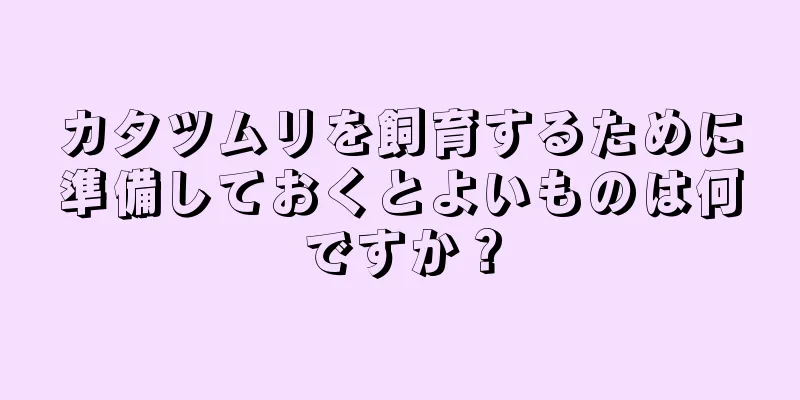 カタツムリを飼育するために準備しておくとよいものは何ですか？