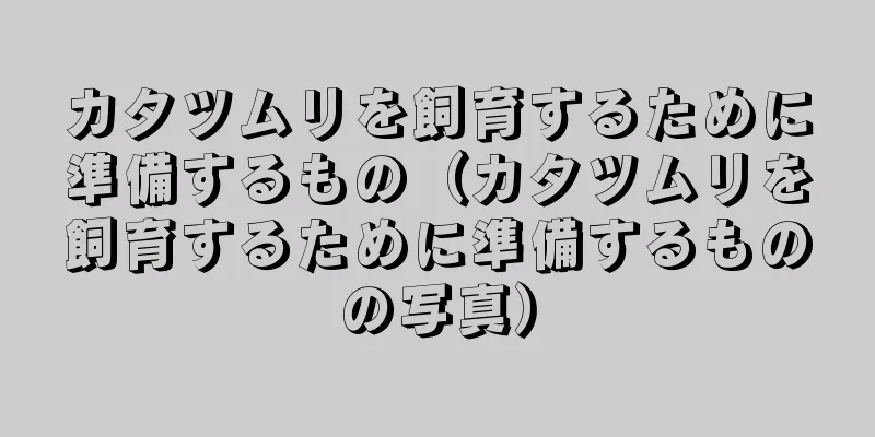 カタツムリを飼育するために準備するもの（カタツムリを飼育するために準備するものの写真）