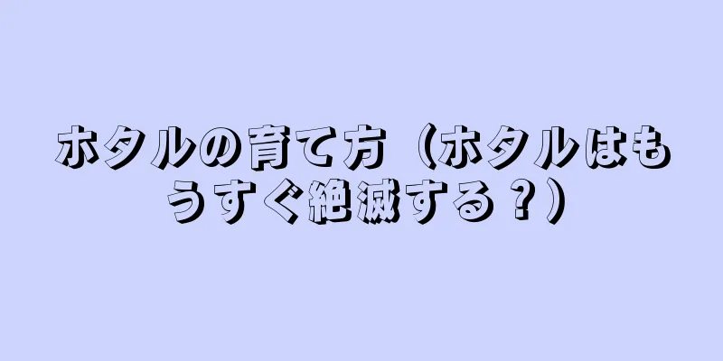 ホタルの育て方（ホタルはもうすぐ絶滅する？）