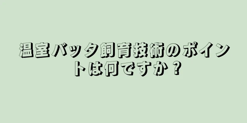 温室バッタ飼育技術のポイントは何ですか？
