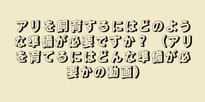 アリを飼育するにはどのような準備が必要ですか？ （アリを育てるにはどんな準備が必要かの動画）