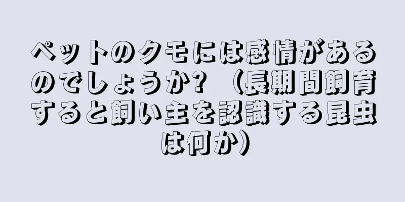ペットのクモには感情があるのでしょうか? （長期間飼育すると飼い主を認識する昆虫は何か）