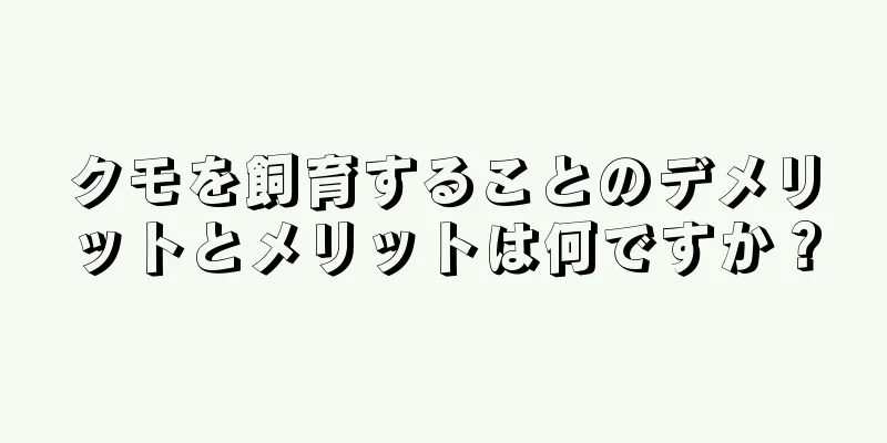 クモを飼育することのデメリットとメリットは何ですか？