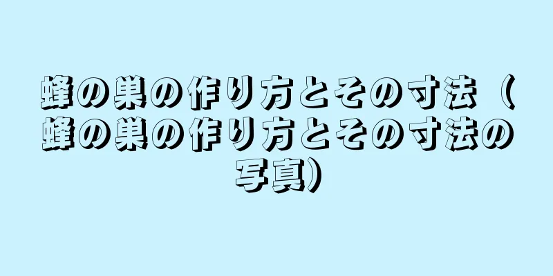 蜂の巣の作り方とその寸法（蜂の巣の作り方とその寸法の写真）