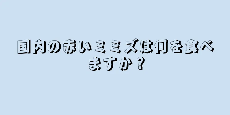 国内の赤いミミズは何を食べますか？
