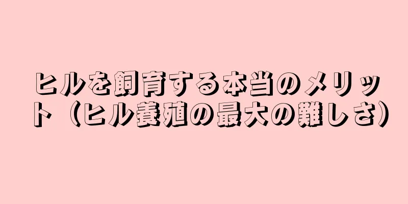 ヒルを飼育する本当のメリット（ヒル養殖の最大の難しさ）