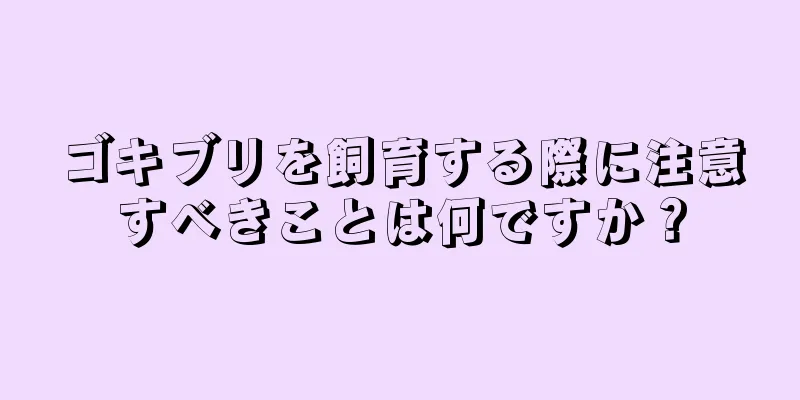 ゴキブリを飼育する際に注意すべきことは何ですか？