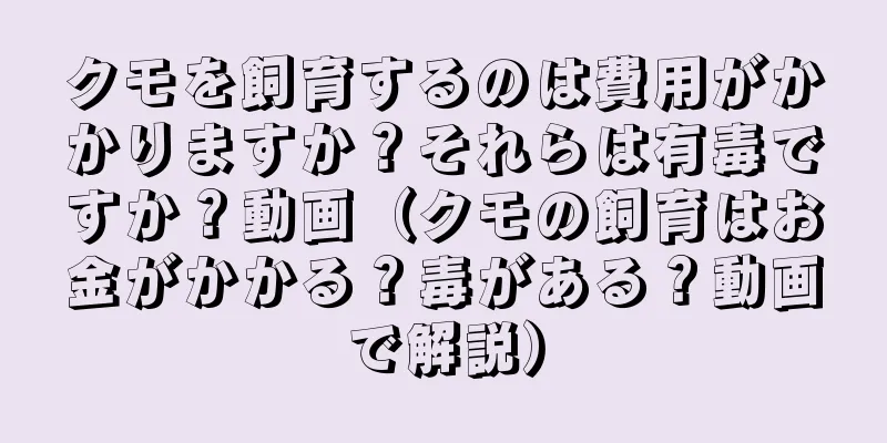 クモを飼育するのは費用がかかりますか？それらは有毒ですか？動画（クモの飼育はお金がかかる？毒がある？動画で解説）