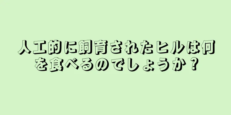 人工的に飼育されたヒルは何を食べるのでしょうか？