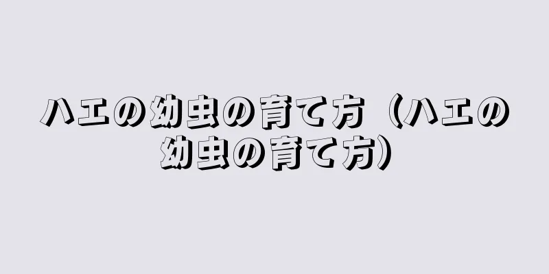 ハエの幼虫の育て方（ハエの幼虫の育て方）