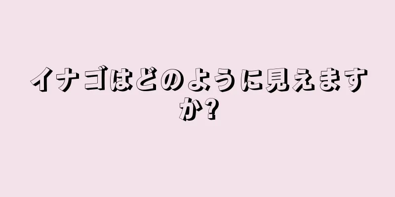 イナゴはどのように見えますか?