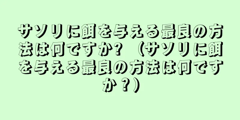 サソリに餌を与える最良の方法は何ですか? （サソリに餌を与える最良の方法は何ですか？）