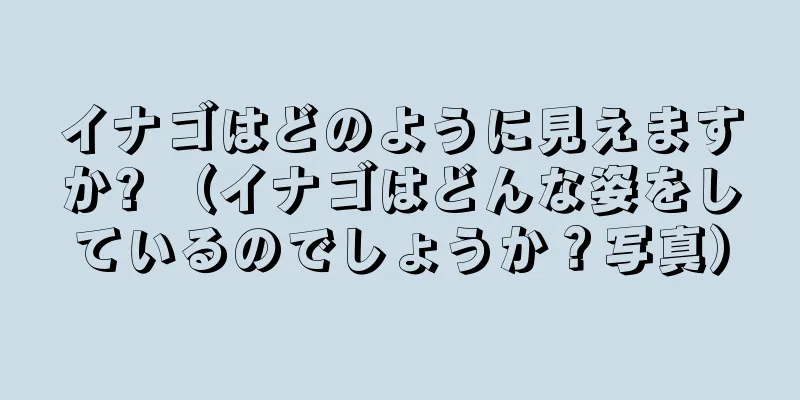イナゴはどのように見えますか? （イナゴはどんな姿をしているのでしょうか？写真）