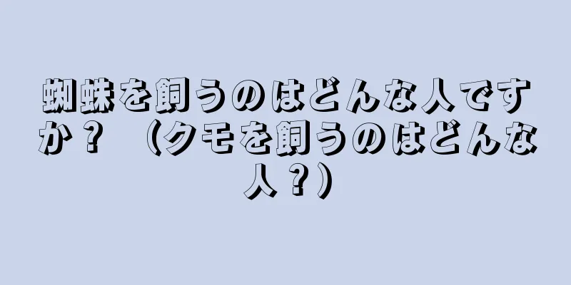 蜘蛛を飼うのはどんな人ですか？ （クモを飼うのはどんな人？）