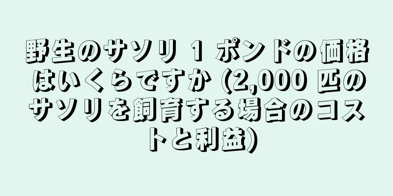 野生のサソリ 1 ポンドの価格はいくらですか (2,000 匹のサソリを飼育する場合のコストと利益)