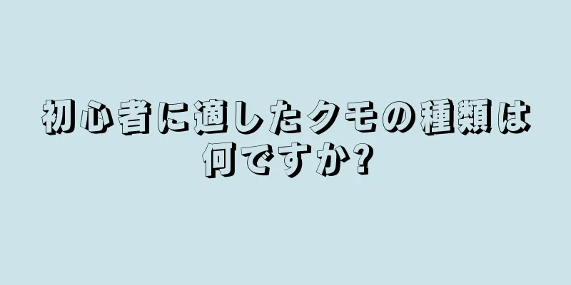 初心者に適したクモの種類は何ですか?