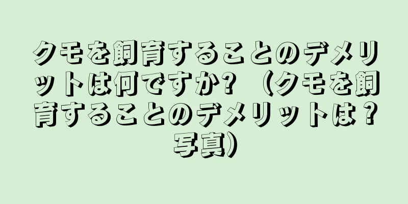 クモを飼育することのデメリットは何ですか? （クモを飼育することのデメリットは？写真）