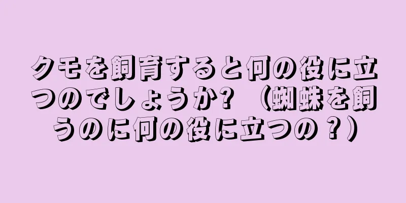 クモを飼育すると何の役に立つのでしょうか? （蜘蛛を飼うのに何の役に立つの？）