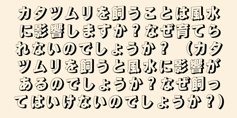 カタツムリを飼うことは風水に影響しますか？なぜ育てられないのでしょうか？ （カタツムリを飼うと風水に影響があるのでしょうか？なぜ飼ってはいけないのでしょうか？）