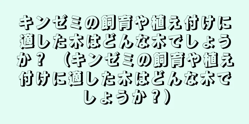 キンゼミの飼育や植え付けに適した木はどんな木でしょうか？ （キンゼミの飼育や植え付けに適した木はどんな木でしょうか？）
