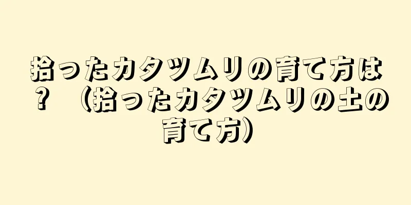 拾ったカタツムリの育て方は？ （拾ったカタツムリの土の育て方）
