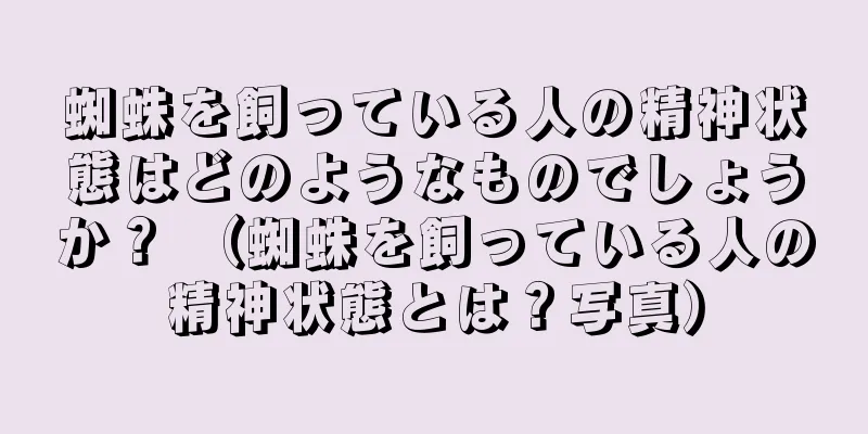 蜘蛛を飼っている人の精神状態はどのようなものでしょうか？ （蜘蛛を飼っている人の精神状態とは？写真）