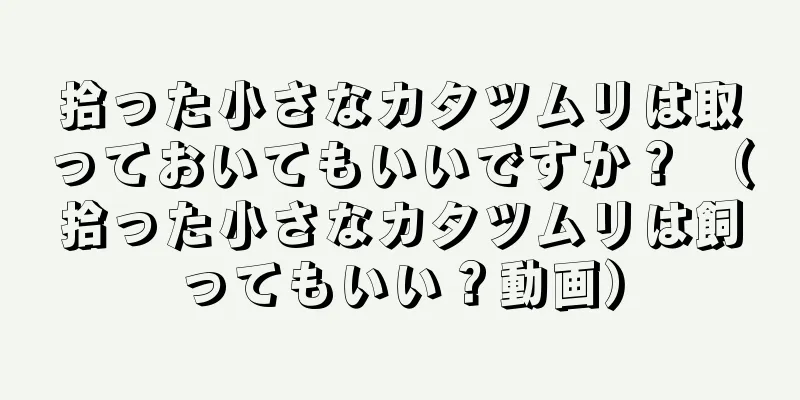 拾った小さなカタツムリは取っておいてもいいですか？ （拾った小さなカタツムリは飼ってもいい？動画）