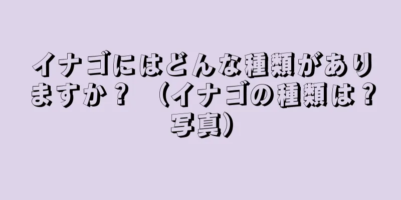 イナゴにはどんな種類がありますか？ （イナゴの種類は？写真）