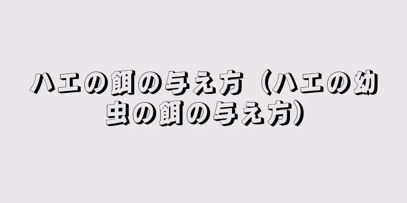 ハエの餌の与え方（ハエの幼虫の餌の与え方）