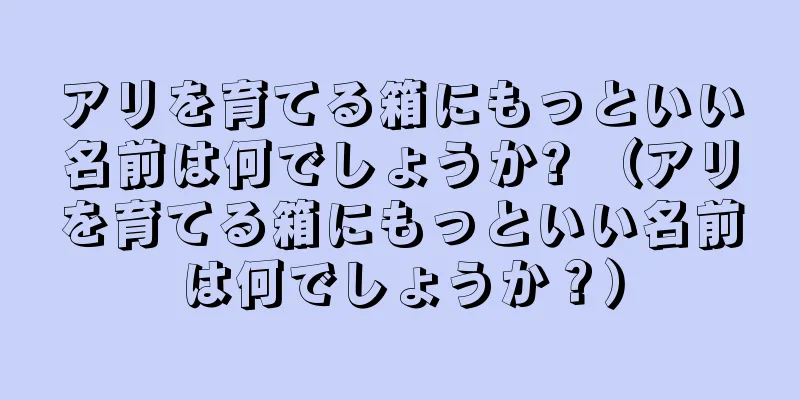 アリを育てる箱にもっといい名前は何でしょうか? （アリを育てる箱にもっといい名前は何でしょうか？）