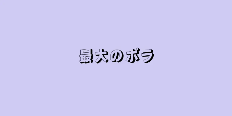 最大のボラ