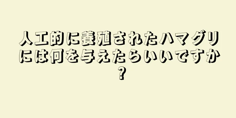 人工的に養殖されたハマグリには何を与えたらいいですか？
