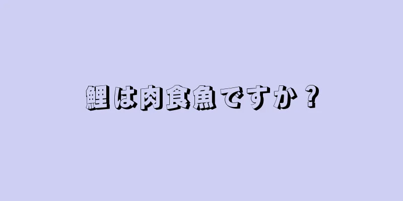 鯉は肉食魚ですか？