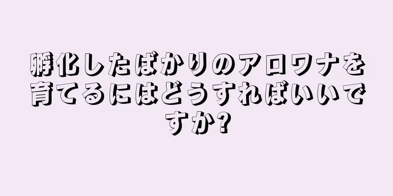 孵化したばかりのアロワナを育てるにはどうすればいいですか?