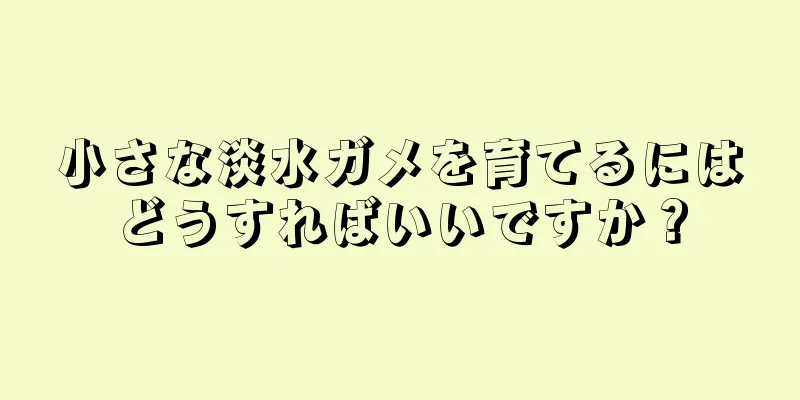 小さな淡水ガメを育てるにはどうすればいいですか？