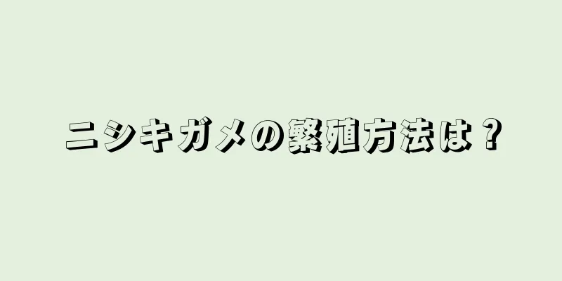 ニシキガメの繁殖方法は？