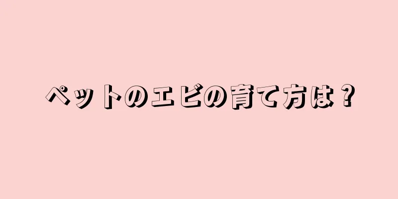 ペットのエビの育て方は？