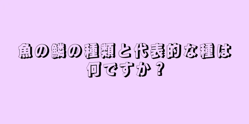 魚の鱗の種類と代表的な種は何ですか？