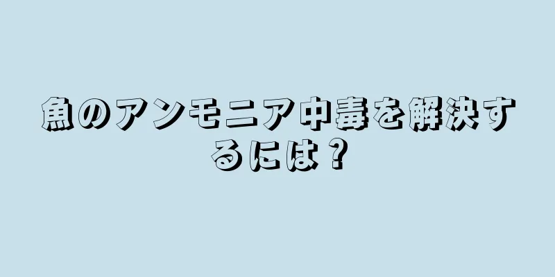 魚のアンモニア中毒を解決するには？