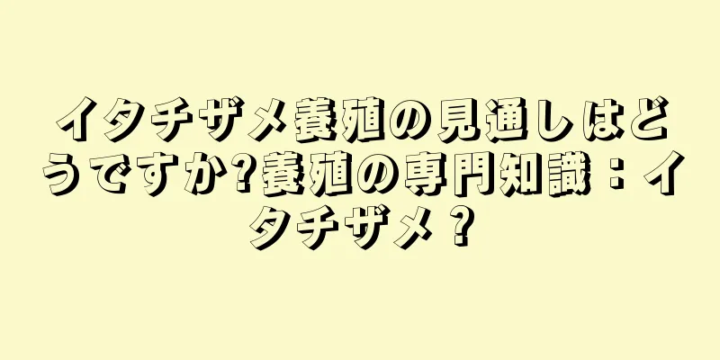 イタチザメ養殖の見通しはどうですか?養殖の専門知識：イタチザメ？