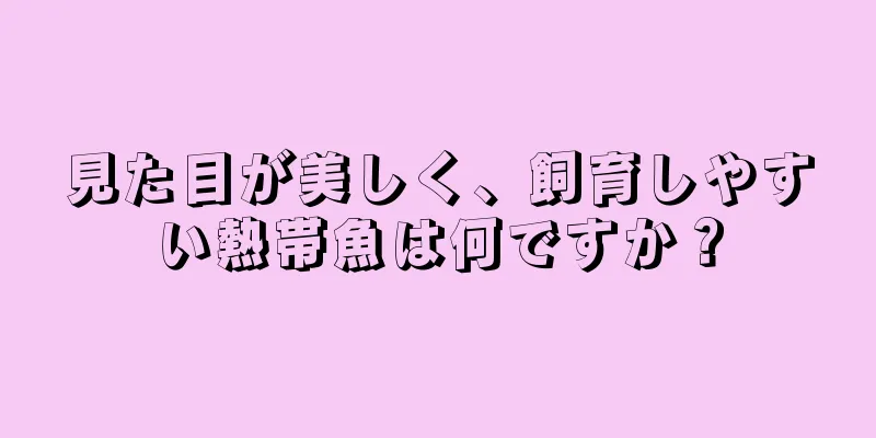 見た目が美しく、飼育しやすい熱帯魚は何ですか？