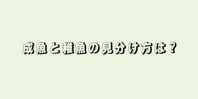 成魚と稚魚の見分け方は？