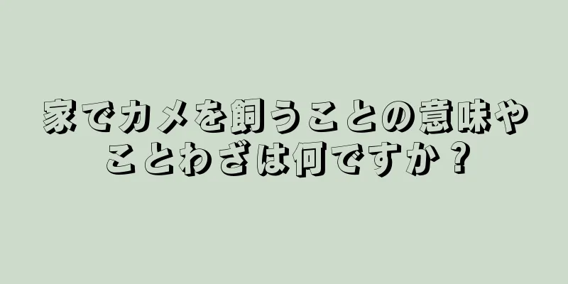 家でカメを飼うことの意味やことわざは何ですか？