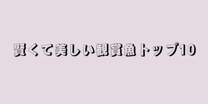 賢くて美しい観賞魚トップ10